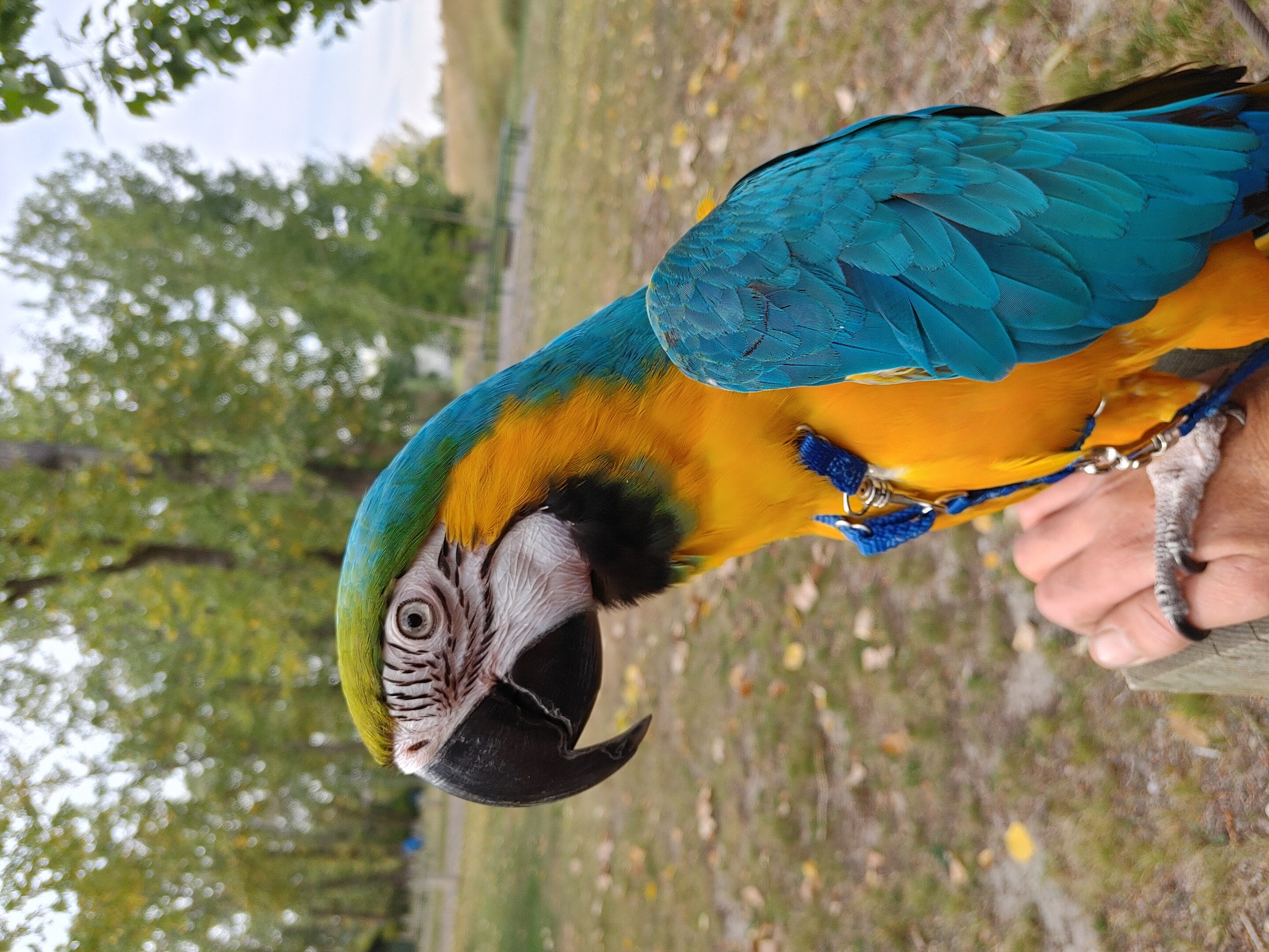 20200923_112945_HDR.jpg