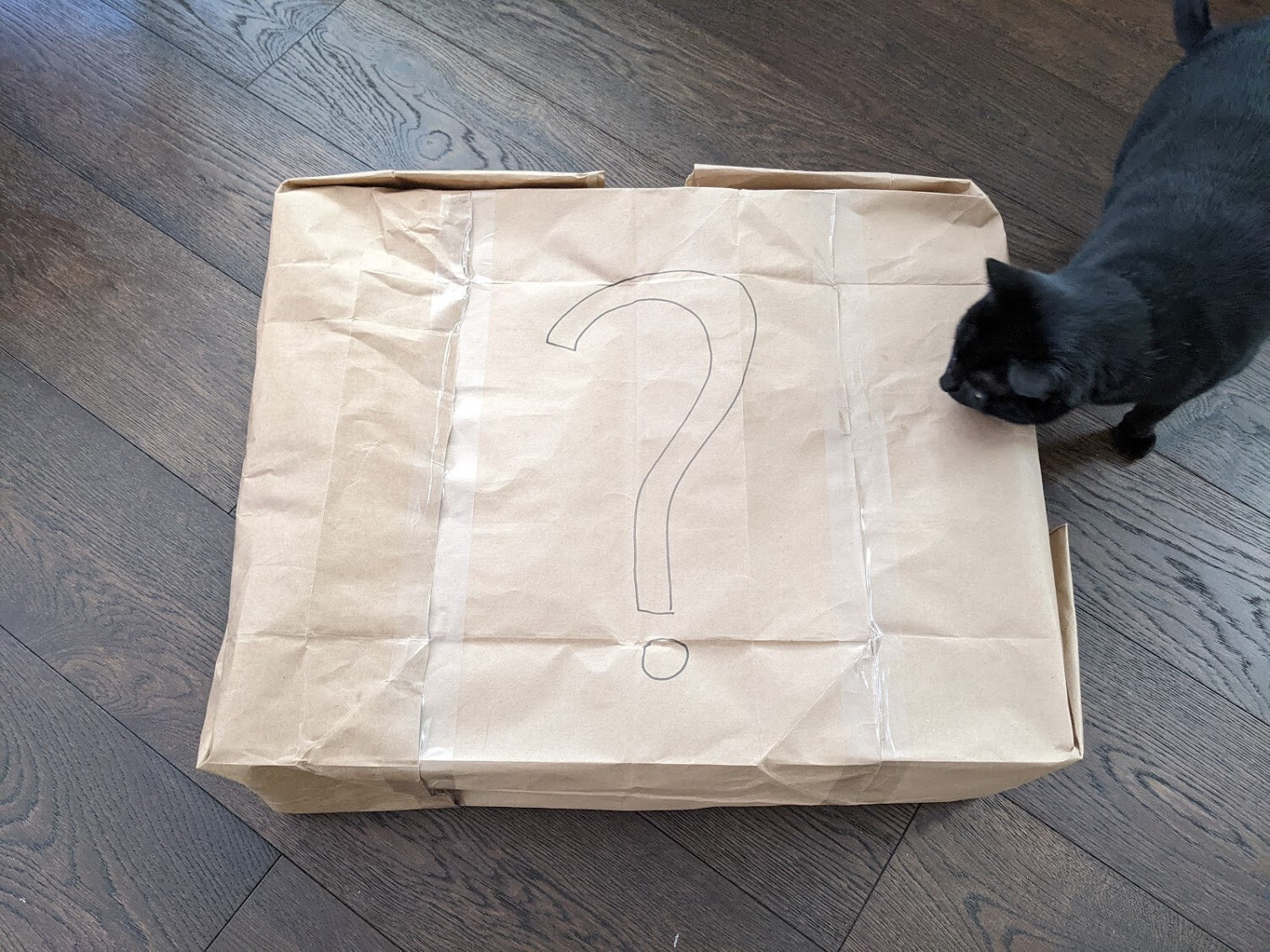 The Mysterious package, cat for scale.